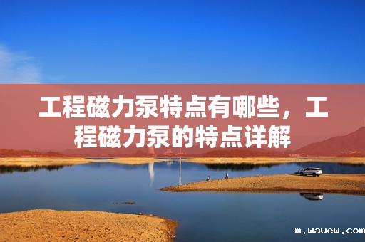 工程磁力泵特点有哪些,工程磁力泵的特点详解 工程磁力泵特点有哪些,工程磁力泵的特点详解