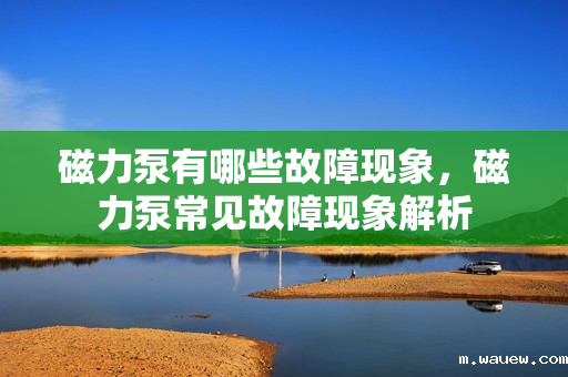 磁力泵有哪些故障现象,磁力泵常见故障现象解析 磁力泵有哪些故障现象,磁力泵常见故障现象解析