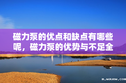 磁力泵的优点和缺点有哪些呢,磁力泵的优势与不足全面解析 磁力泵的优点和缺点有哪些呢,磁力泵的优势与不足全面解析