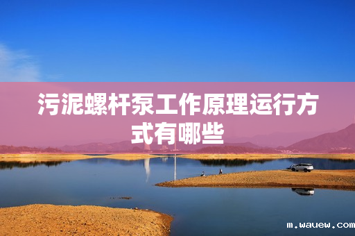 污泥螺杆泵工作原理运行方式有哪些 污泥螺杆泵工作原理运行方式有哪些