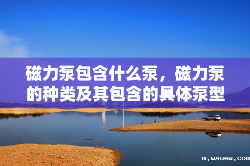 磁力泵包含什么泵,磁力泵的种类及其包含的具体泵型 磁力泵包含什么泵,磁力泵的种类及其包含的具体泵型