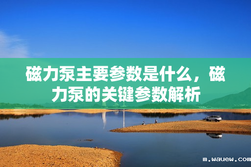 磁力泵主要参数是什么,磁力泵的关键参数解析 磁力泵主要参数是什么,磁力泵的关键参数解析