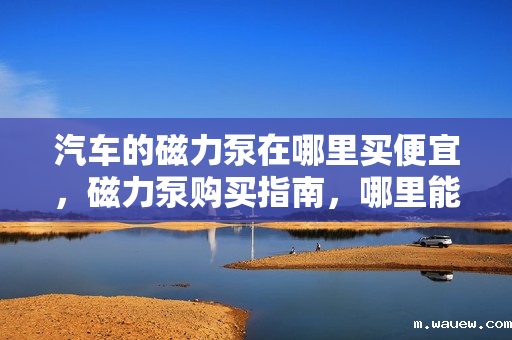 汽车的磁力泵在哪里买便宜,磁力泵购买指南,哪里能找到价格实惠的汽车磁力泵? 汽车的磁力泵在哪里买便宜,磁力泵购买指南,哪里能找到价格实惠的汽车磁力泵?