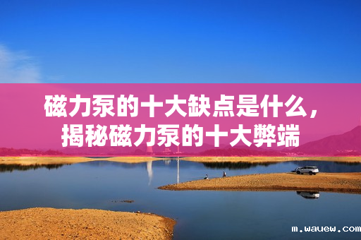 磁力泵的十大缺点是什么,揭秘磁力泵的十大弊端 磁力泵的十大缺点是什么,揭秘磁力泵的十大弊端