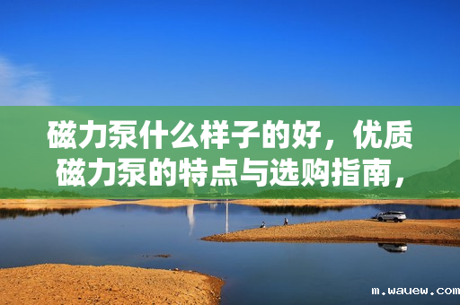 磁力泵什么样子的好,优质磁力泵的特点与选购指南,如何挑选性能卓越的磁力泵 磁力泵什么样子的好,优质磁力泵的特点与选购指南,如何挑选性能卓越的磁力泵