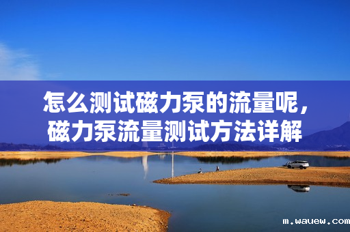 怎么测试磁力泵的流量呢,磁力泵流量测试方法详解 怎么测试磁力泵的流量呢,磁力泵流量测试方法详解