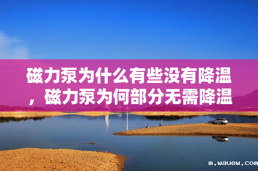 磁力泵为什么有些没有降温,磁力泵为何部分无需降温设计? 磁力泵为什么有些没有降温,磁力泵为何部分无需降温设计?