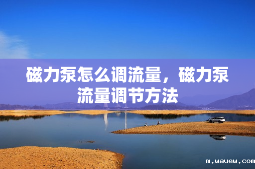 磁力泵怎么调流量,磁力泵流量调节方法 磁力泵怎么调流量,磁力泵流量调节方法