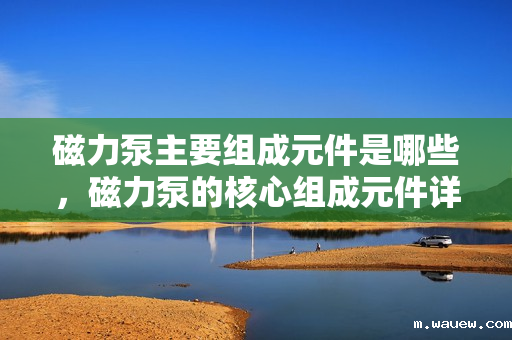 磁力泵主要组成元件是哪些,磁力泵的核心组成元件详解 磁力泵主要组成元件是哪些,磁力泵的核心组成元件详解