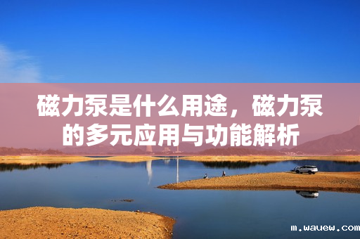 磁力泵是什么用途,磁力泵的多元应用与功能解析 磁力泵是什么用途,磁力泵的多元应用与功能解析