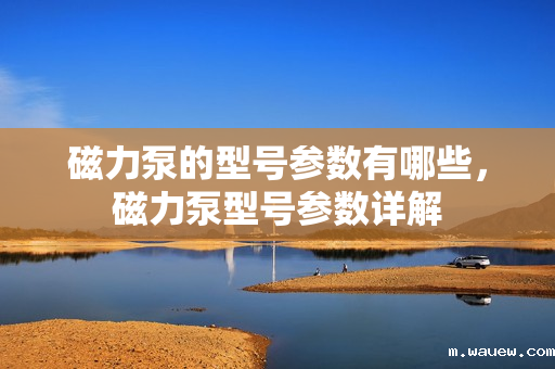 磁力泵的型号参数有哪些,磁力泵型号参数详解 磁力泵的型号参数有哪些,磁力泵型号参数详解