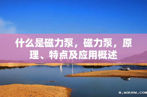 什么是磁力泵,磁力泵,原理、特点及应用概述 什么是磁力泵,磁力泵,原理、特点及应用概述