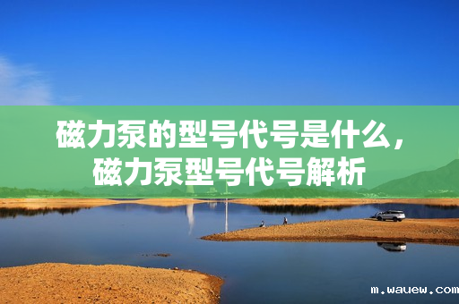 磁力泵的型号代号是什么,磁力泵型号代号解析 磁力泵的型号代号是什么,磁力泵型号代号解析