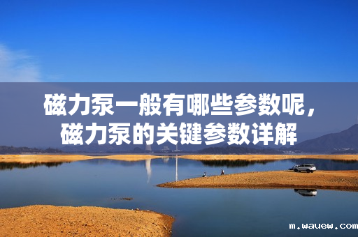 磁力泵一般有哪些参数呢,磁力泵的关键参数详解 磁力泵一般有哪些参数呢,磁力泵的关键参数详解