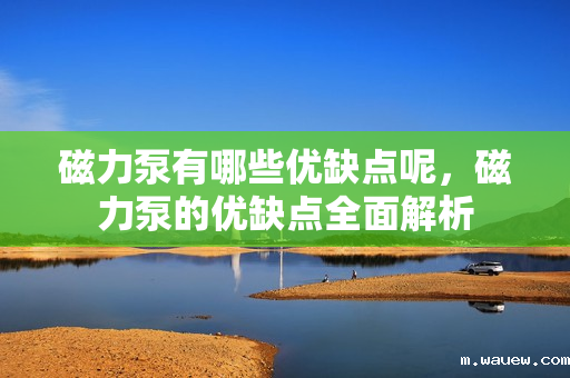 磁力泵有哪些优缺点呢,磁力泵的优缺点全面解析 磁力泵有哪些优缺点呢,磁力泵的优缺点全面解析