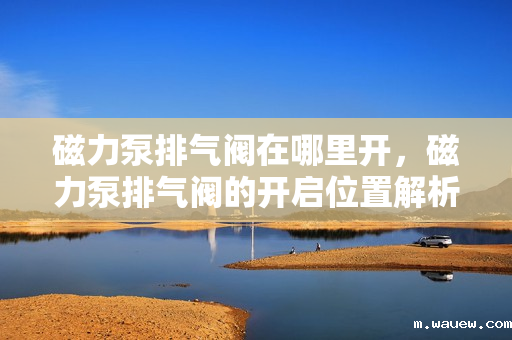 磁力泵排气阀在哪里开,磁力泵排气阀的开启位置解析 磁力泵排气阀在哪里开,磁力泵排气阀的开启位置解析