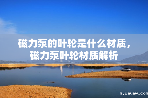 磁力泵的叶轮是什么材质,磁力泵叶轮材质解析 磁力泵的叶轮是什么材质,磁力泵叶轮材质解析