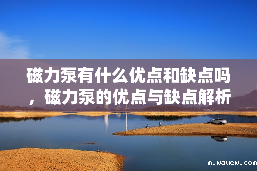 磁力泵有什么优点和缺点吗,磁力泵的优点与缺点解析 磁力泵有什么优点和缺点吗,磁力泵的优点与缺点解析