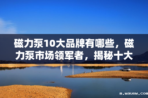 磁力泵10大品牌有哪些,磁力泵市场领军者,揭秘十大知名品牌 磁力泵10大品牌有哪些,磁力泵市场领军者,揭秘十大知名品牌