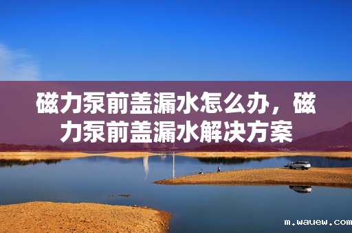 磁力泵前盖漏水怎么办,磁力泵前盖漏水解决方案 磁力泵前盖漏水怎么办,磁力泵前盖漏水解决方案