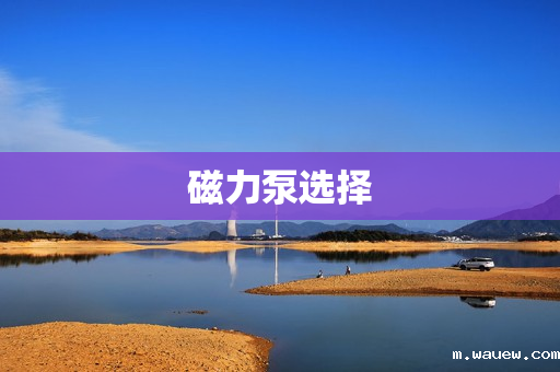 磁力泵选择 磁力泵选择