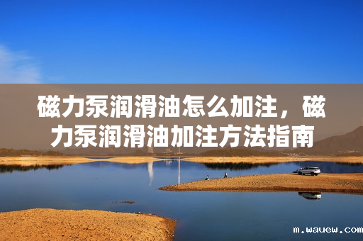 磁力泵润滑油怎么加注,磁力泵润滑油加注方法指南 磁力泵润滑油怎么加注,磁力泵润滑油加注方法指南
