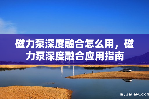 磁力泵深度融合怎么用,磁力泵深度融合应用指南 磁力泵深度融合怎么用,磁力泵深度融合应用指南