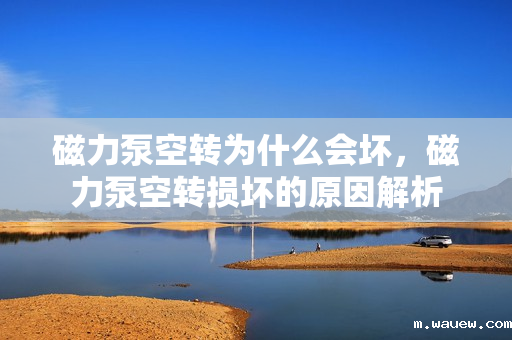 磁力泵空转为什么会坏,磁力泵空转损坏的原因解析 磁力泵空转为什么会坏,磁力泵空转损坏的原因解析