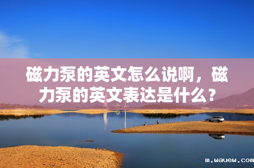 磁力泵的英文怎么说啊,磁力泵的英文表达是什么? 磁力泵的英文怎么说啊,磁力泵的英文表达是什么?