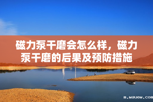 磁力泵干磨会怎么样,磁力泵干磨的后果及预防措施 磁力泵干磨会怎么样,磁力泵干磨的后果及预防措施