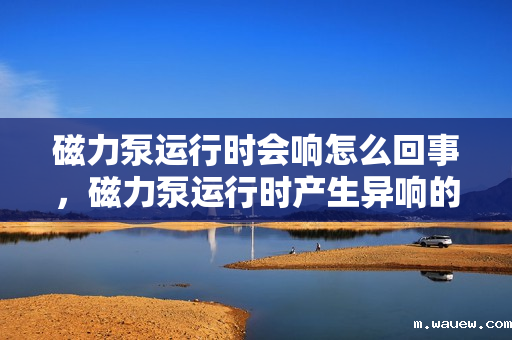 磁力泵运行时会响怎么回事,磁力泵运行时产生异响的原因及解决方法 磁力泵运行时会响怎么回事,磁力泵运行时产生异响的原因及解决方法