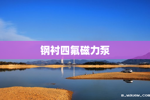 钢衬四氟磁力泵 钢衬四氟磁力泵