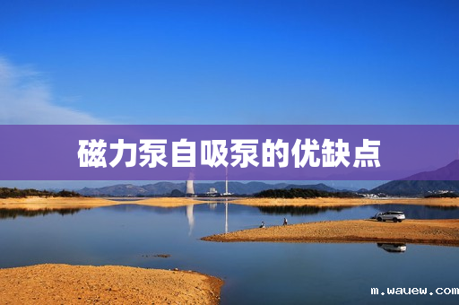 磁力泵自吸泵的优缺点 磁力泵自吸泵的优缺点