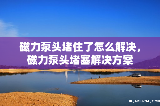 磁力泵头堵住了怎么解决,磁力泵头堵塞解决方案 磁力泵头堵住了怎么解决,磁力泵头堵塞解决方案