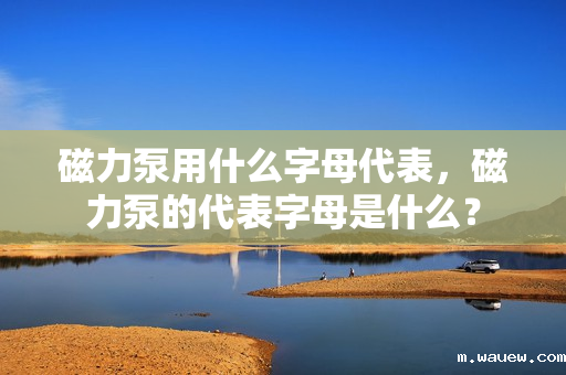 磁力泵用什么字母代表,磁力泵的代表字母是什么? 磁力泵用什么字母代表,磁力泵的代表字母是什么?