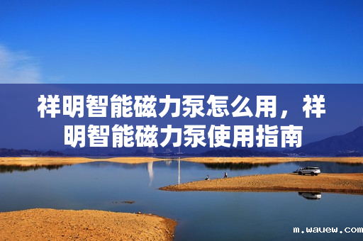 祥明智能磁力泵怎么用,祥明智能磁力泵使用指南 祥明智能磁力泵怎么用,祥明智能磁力泵使用指南