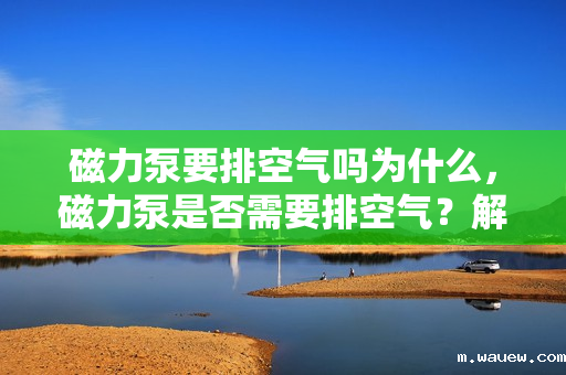 磁力泵要排空气吗为什么,磁力泵是否需要排空气?解析磁力泵的工作原理与排气需求 磁力泵要排空气吗为什么,磁力泵是否需要排空气?解析磁力泵的工作原理与排气需求