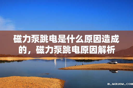 磁力泵跳电是什么原因造成的,磁力泵跳电原因解析 磁力泵跳电是什么原因造成的,磁力泵跳电原因解析