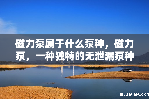 磁力泵属于什么泵种,磁力泵,一种独特的无泄漏泵种 磁力泵属于什么泵种,磁力泵,一种独特的无泄漏泵种