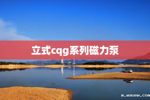 立式cqg系列磁力泵 立式cqg系列磁力泵