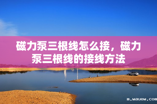 磁力泵三根线怎么接,磁力泵三根线的接线方法 磁力泵三根线怎么接,磁力泵三根线的接线方法