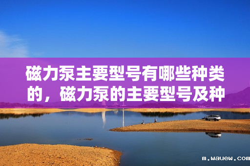 磁力泵主要型号有哪些种类的,磁力泵的主要型号及种类解析 磁力泵主要型号有哪些种类的,磁力泵的主要型号及种类解析