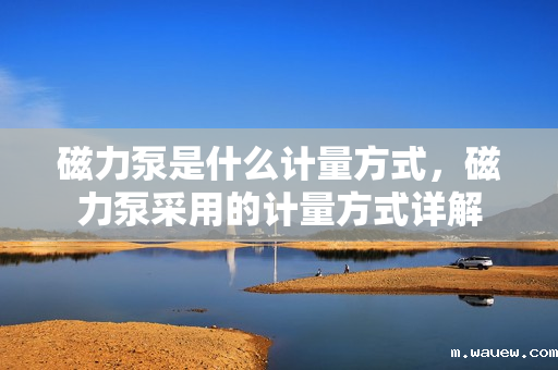 磁力泵是什么计量方式,磁力泵采用的计量方式详解 磁力泵是什么计量方式,磁力泵采用的计量方式详解