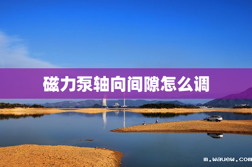 磁力泵轴向间隙怎么调 磁力泵轴向间隙怎么调