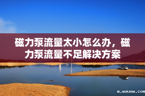 磁力泵流量太小怎么办,磁力泵流量不足解决方案 磁力泵流量太小怎么办,磁力泵流量不足解决方案