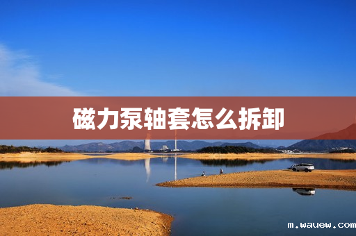 磁力泵轴套怎么拆卸 磁力泵轴套怎么拆卸