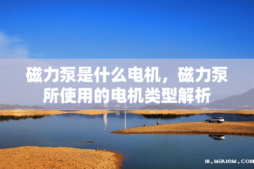 磁力泵是什么电机,磁力泵所使用的电机类型解析 磁力泵是什么电机,磁力泵所使用的电机类型解析