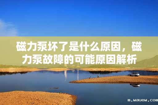 磁力泵坏了是什么原因,磁力泵故障的可能原因解析 磁力泵坏了是什么原因,磁力泵故障的可能原因解析