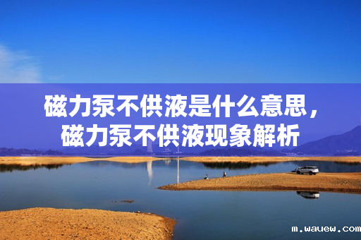 磁力泵不供液是什么意思,磁力泵不供液现象解析 磁力泵不供液是什么意思,磁力泵不供液现象解析