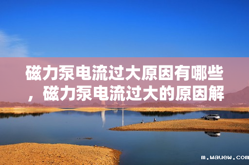磁力泵电流过大原因有哪些,磁力泵电流过大的原因解析 磁力泵电流过大原因有哪些,磁力泵电流过大的原因解析